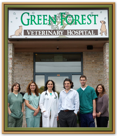 veterinary hospital, Glen Cove