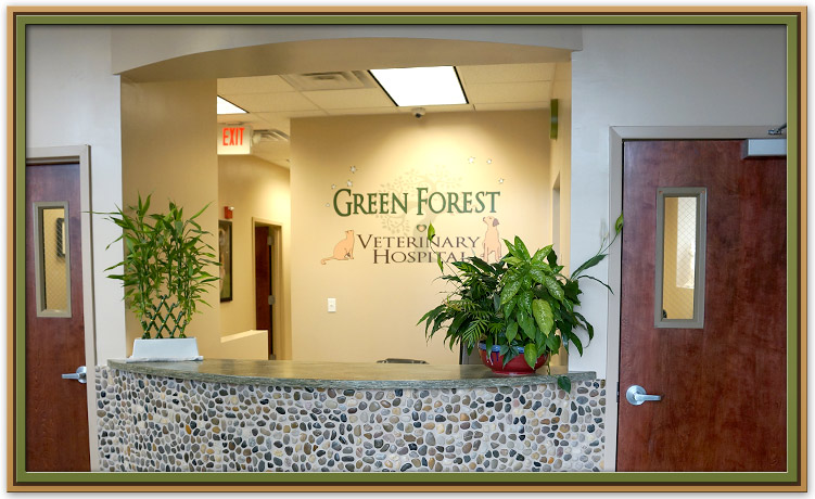 Reception Desk