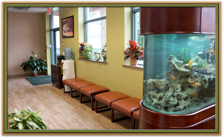 Waiting Area