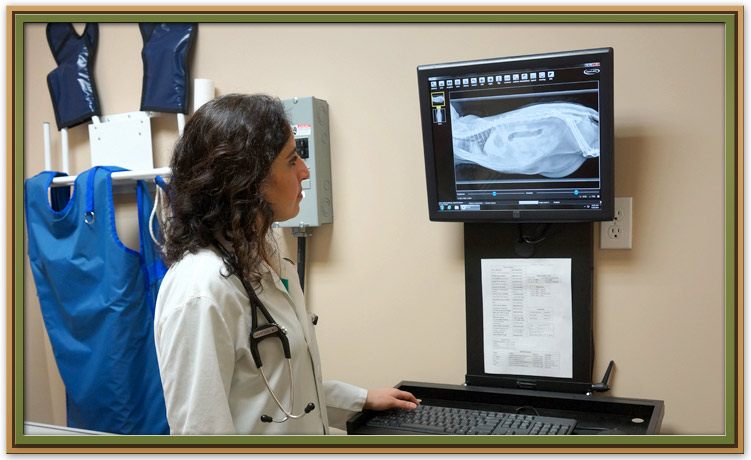 Radiology
