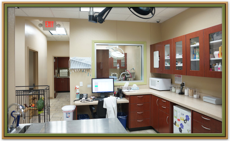 Treatment Area