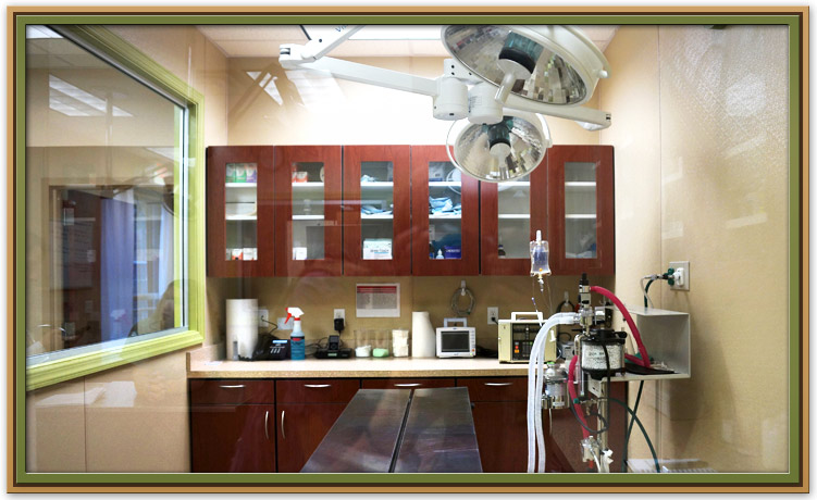Surgical Suite